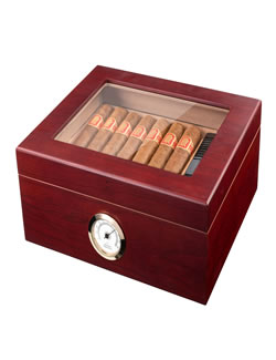 <div style="height:180px;">     <h3 class="ptitle"><strong>Mantello Cigar Humidors</strong></h3> </br>     <p class="pdesc">This glass-top humidor is great for starters up to expert cigar aficionados.</p> </br>     <p class="points">POINTS: 100</p> </div>