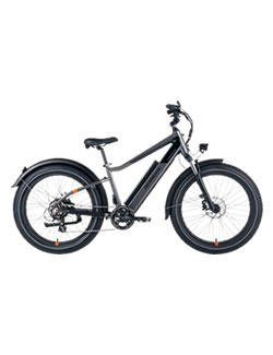 <div style="height:180px;">     <h3 class="ptitle"><strong>RadRover 6 Plus Electric Fat Tire Bike</strong></h3> </br>     <p class="pdesc">Commute. Explore. Or simply do more. The ebike that started it all, does it all.</p> </br>     <p class="points">POINTS: 3000</p> </div>