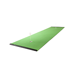 <div style="height:180px;"><h3 class="ptitle"><strong>4' X 10' STANDARD PUTTING MAT PACKAGE</strong></h3></br><p class="pdesc">Featuring a classic road bike style for riding in the city, the CTI has the perfect blend of quality and affordability.</p> </br> <p class="points">POINTS: 350</p> </div>