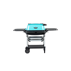 <div style="height:180px;">     <h3 class="ptitle"><strong>PK Grill</strong></h3> </br>     <p class="pdesc">The iconic collab from BBQ heaven.</p> </br>     <p class="points">POINTS: 900</p> </div>