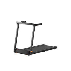 <div style="height:180px;">     <h3 class="ptitle"><strong>Walking Pad G1SE Folding Treadmill</strong></h3> </br>     <p class="pdesc">Introducing the Walking Pad! This Walking Pad comes fully-assembled right out of the box.</p> </br>     <p class="points">POINTS: 400</p> </div>